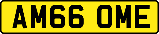 AM66OME