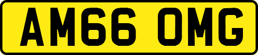 AM66OMG