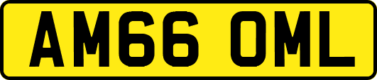 AM66OML