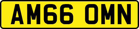 AM66OMN