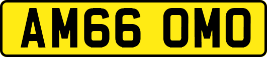AM66OMO