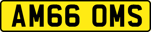 AM66OMS