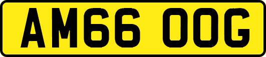 AM66OOG