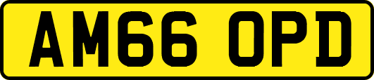 AM66OPD