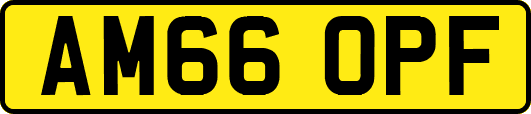 AM66OPF