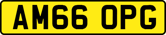 AM66OPG