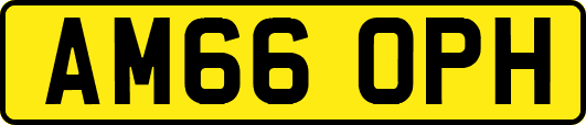 AM66OPH