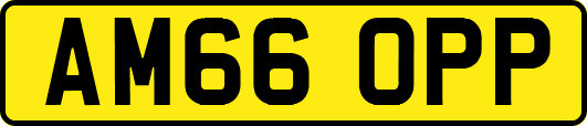 AM66OPP