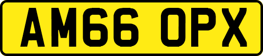 AM66OPX