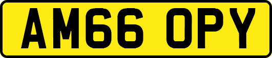 AM66OPY