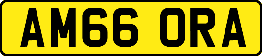 AM66ORA