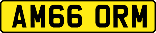 AM66ORM