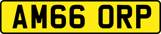 AM66ORP