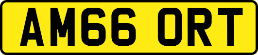 AM66ORT