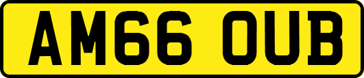 AM66OUB