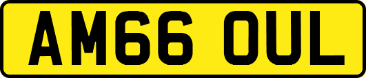 AM66OUL