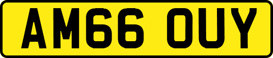 AM66OUY