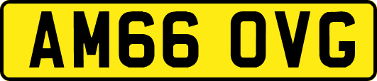 AM66OVG