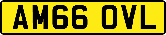 AM66OVL