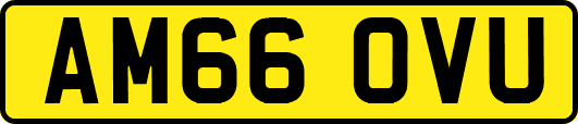 AM66OVU