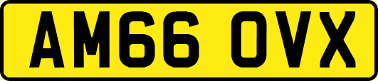 AM66OVX