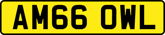 AM66OWL
