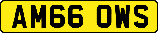 AM66OWS