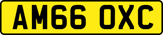 AM66OXC