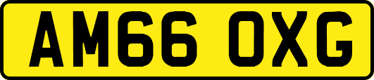 AM66OXG