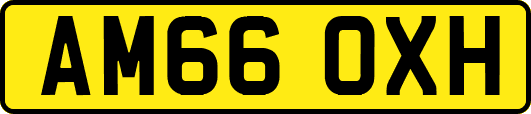 AM66OXH