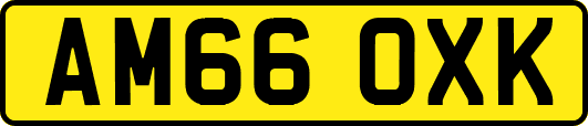 AM66OXK