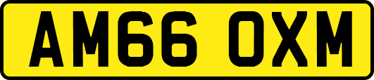 AM66OXM