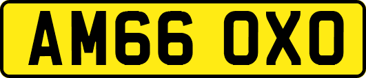 AM66OXO