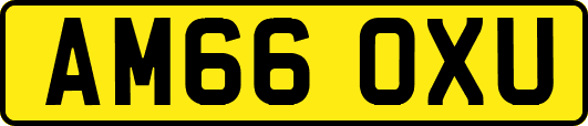 AM66OXU