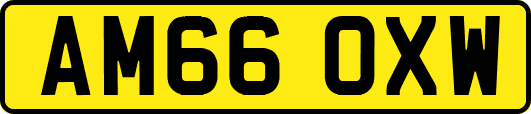 AM66OXW
