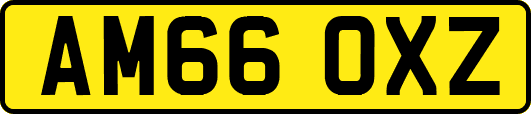 AM66OXZ