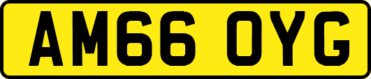 AM66OYG