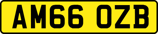 AM66OZB