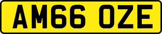 AM66OZE