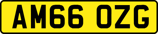 AM66OZG