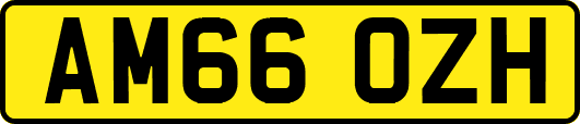 AM66OZH