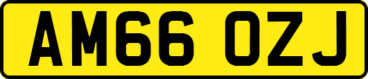 AM66OZJ