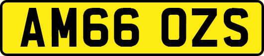 AM66OZS