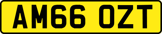AM66OZT