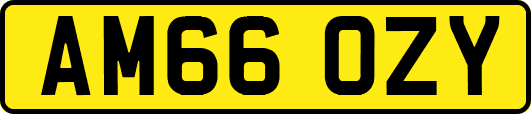 AM66OZY