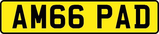 AM66PAD