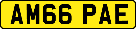 AM66PAE