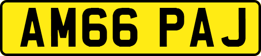 AM66PAJ