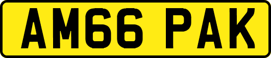 AM66PAK