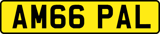 AM66PAL